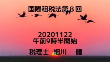 国際租税法第８回②20201122