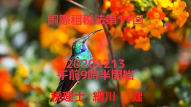 国際租税法第11回②20201213（日）午前9時半開始