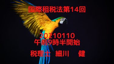 国際租税法第14回②20210110タックス・ヘイブン対策税制